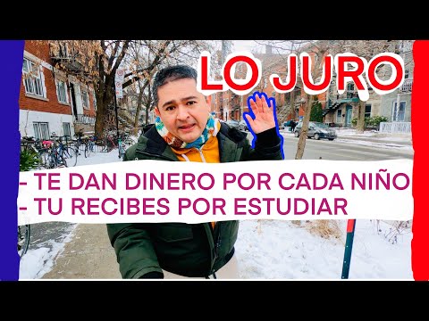 Cursos donde te pagan por estudiar