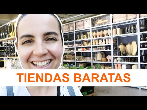 Cuánto vale una Coca Cola en Holanda