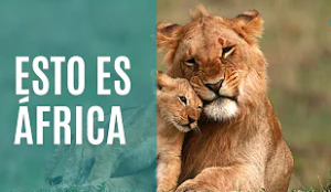 mejor epoca viajar a kenia y tanzania